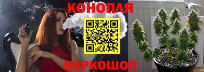 дживик Нальчик