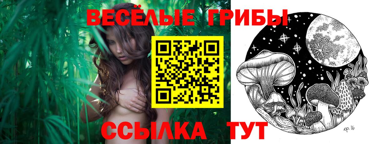 Псилоцибиновые грибы прущие грибы Среднеуральск