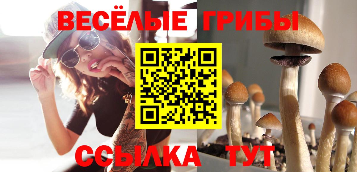 как найти   Псилоцибиновые грибы мицелий  Вход с VPN  Среднеуральск 